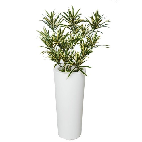 Planta semi-artificiala Ila, Dracaena Reflexa Bush Small Variegated - 130 cm